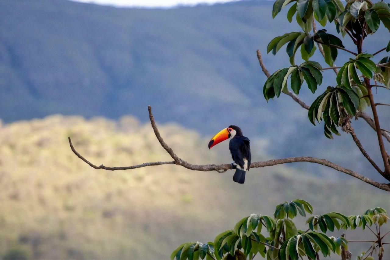 Vila Dos Cristais Alto Paraíso de Goiás Kültér fotó
