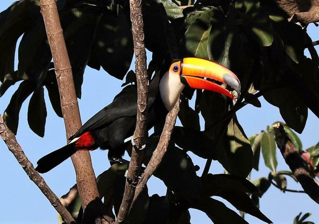 Vila Dos Cristais Apartman Alto Paraíso de Goiás Kültér fotó