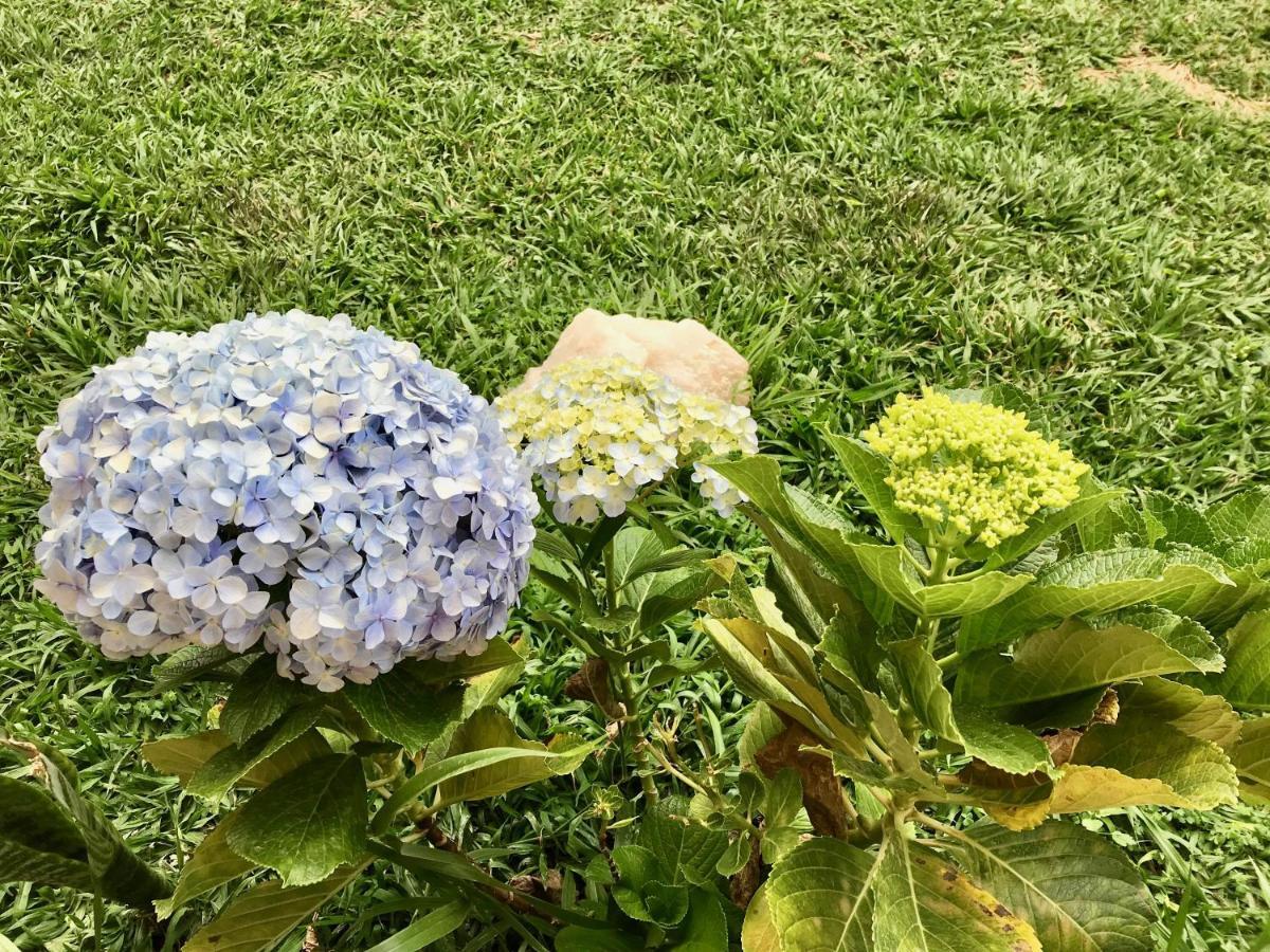 Vila Dos Cristais Alto Paraíso de Goiás Kültér fotó